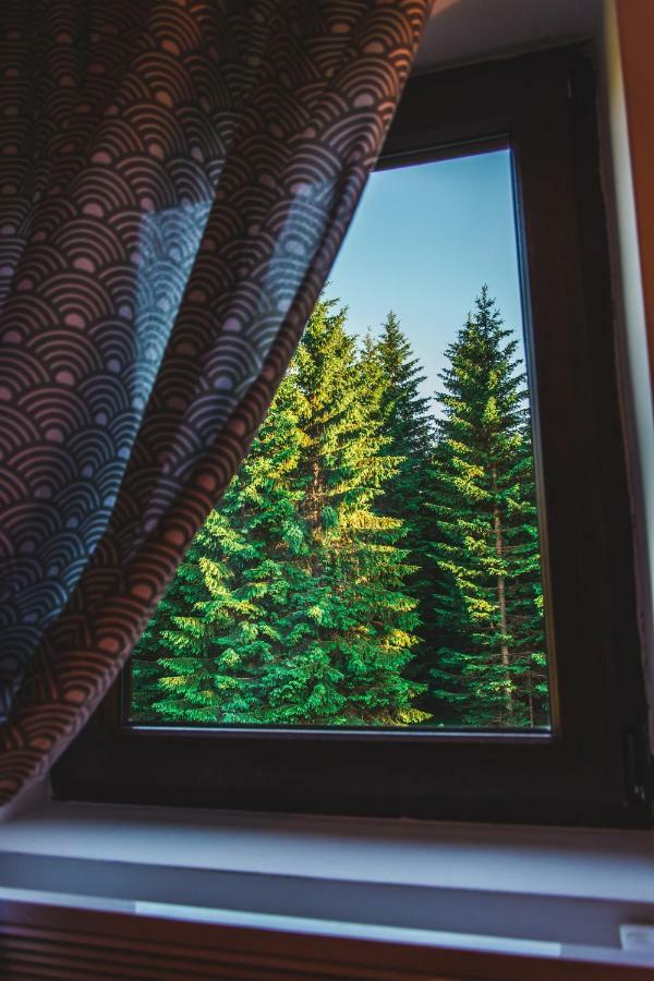Wood Inn Zabljak  Bagian luar foto