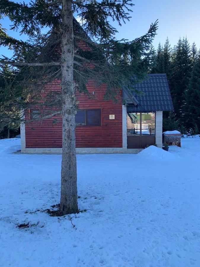 Wood Inn Zabljak  Bagian luar foto